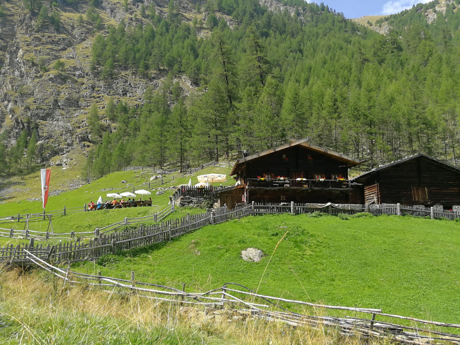 Transhumance: the journey of the sheep through the glacier in Val Senales, South Tyrol