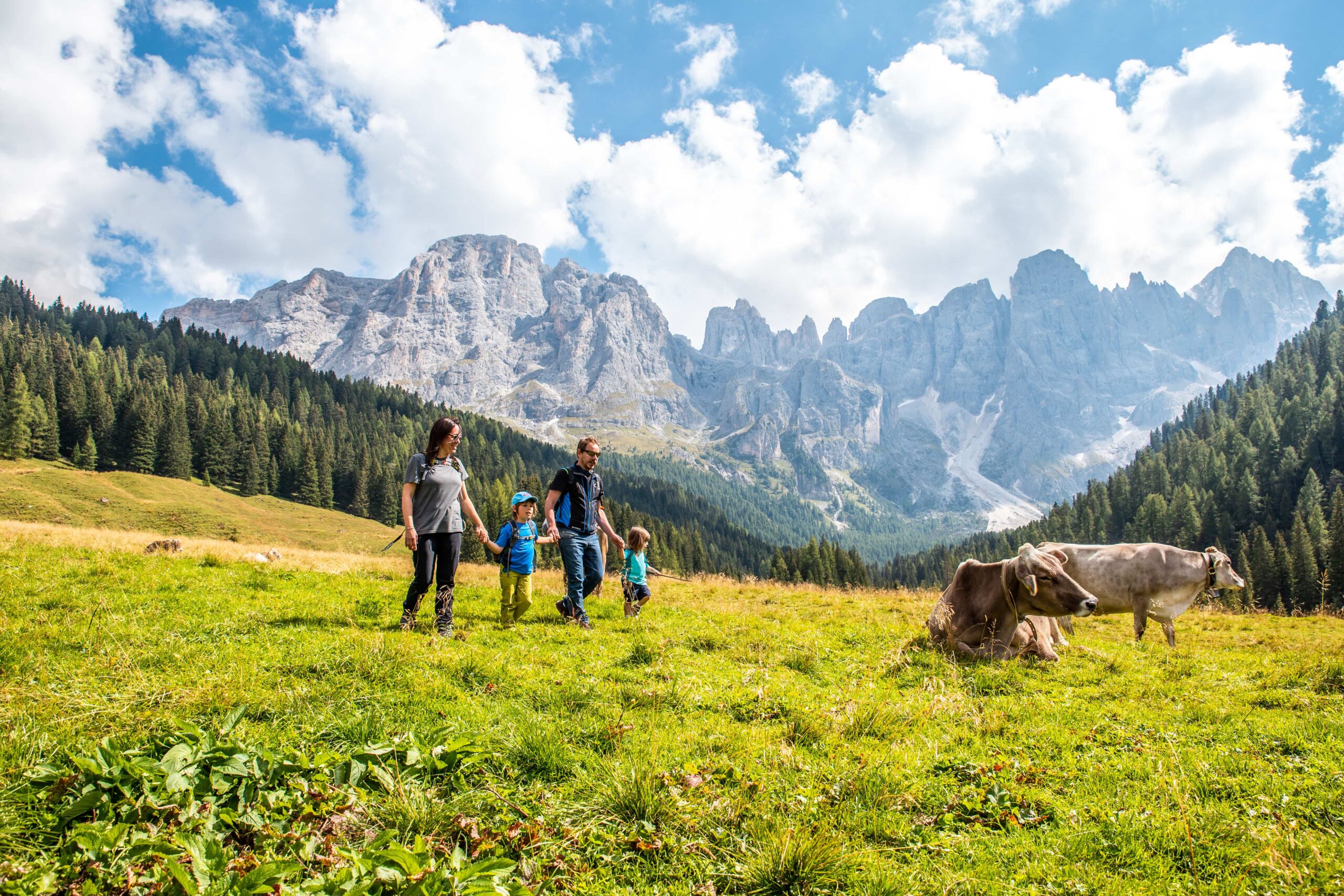 Italea Trentino Alto Adige guides you in the discovery of your origins
