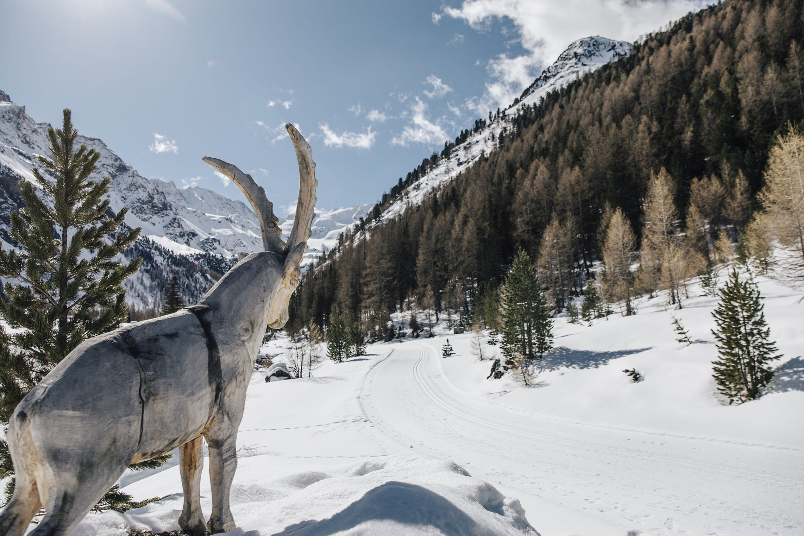  Foto di DM Südtirol–Alto Adige / Benjamin Pfitscher