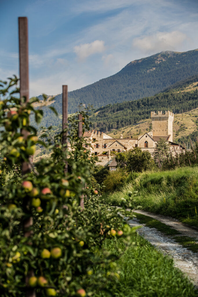 Churburg Castle: South Tyrolean Knight Games