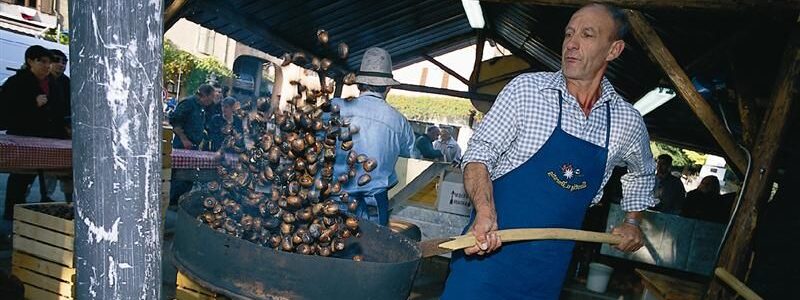 Chestnut Festival in Roncegno